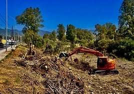 Die Arbeiten begannen am Freitag mit der Reinigung des Flussbettes und der Beseitigung invasiver Arten.