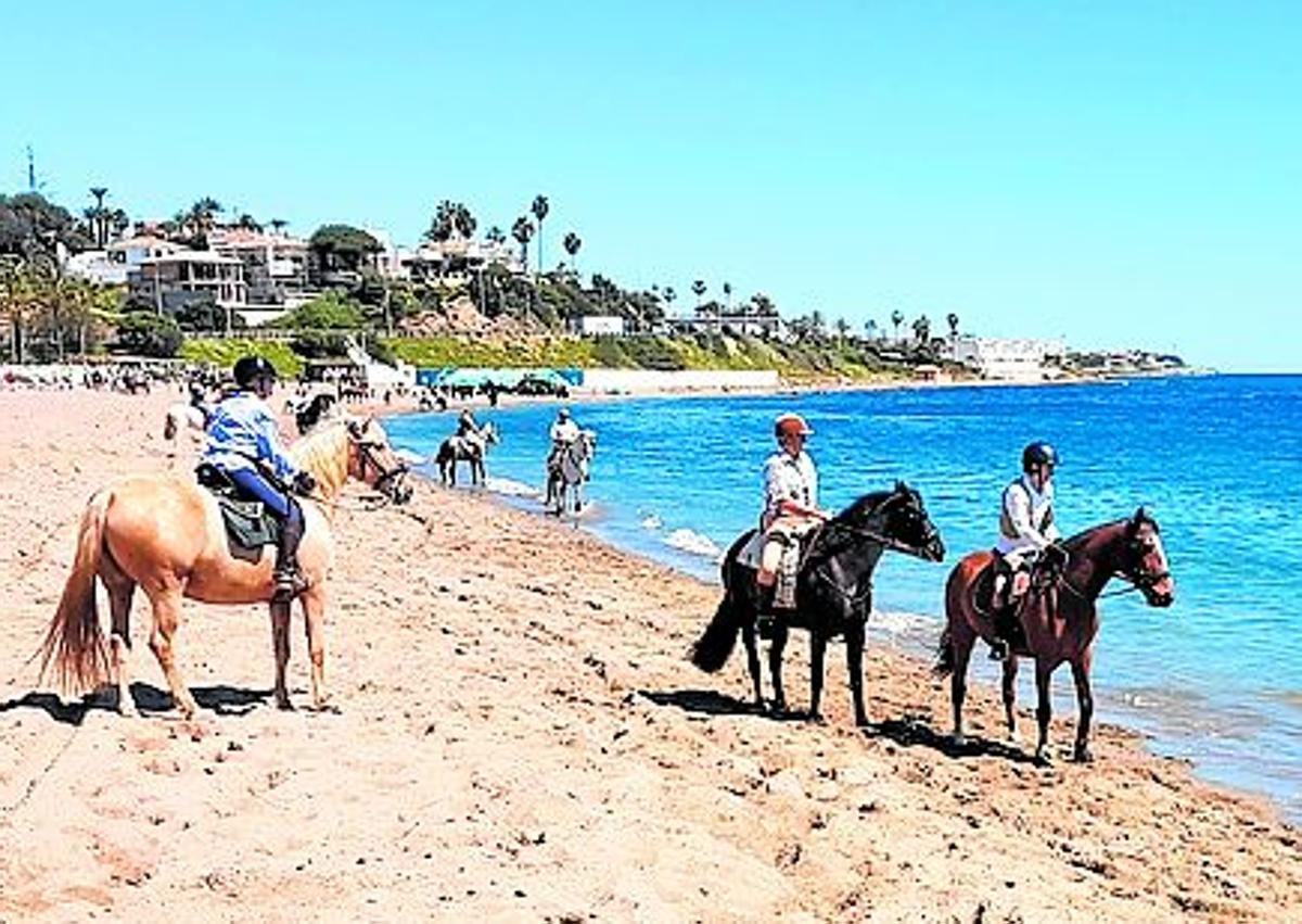 Imagen secundaria 1 - Die Tour bietet auch einen fantastischen Blick über die Küste bis zum Felsen von Gibraltar.(1. Foto). In Mijas kann man auch am Strand reiten. (2. Foto). Juan López-Ayala Valverde (3. Foto).