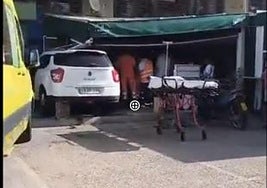 Der Vorfall ereignete sich gegen 9.40 Uhr.