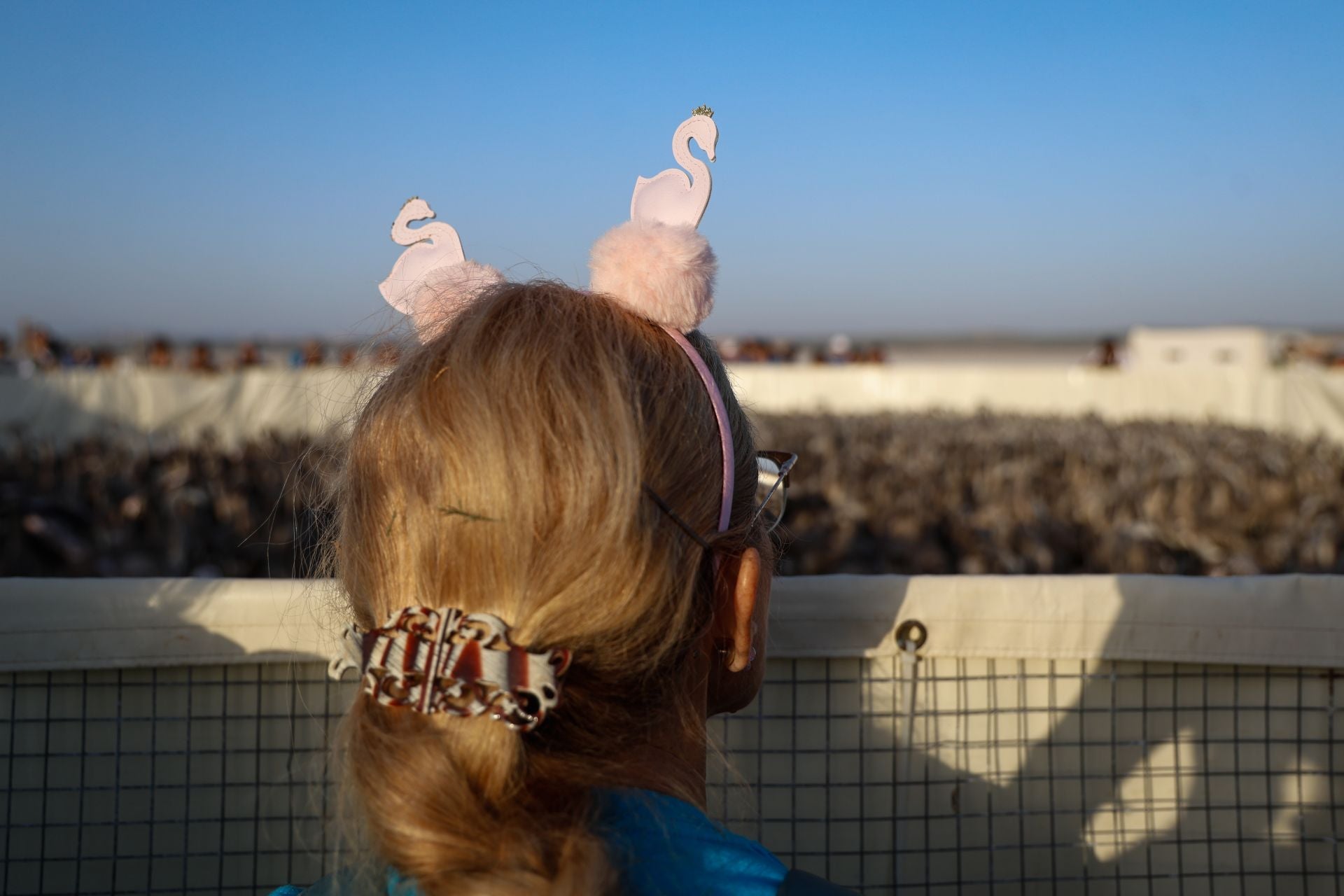 Das Beringen der Flamingo-Jungvögel kehrt nach Jahren der Trockenheit wieder nach Fuente de Piedra zurück