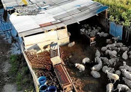 Luftaufnahme des illegalen Schlachthofs, der von der Seprona im Rahmen der Operation Pox aufgeflogen ist.