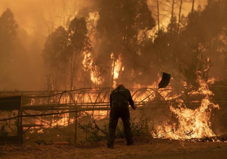 Ein Forstmitarbeiter arbeitet daran, das Feuer in Carballeda de Avia (Ourense) zu löschen.