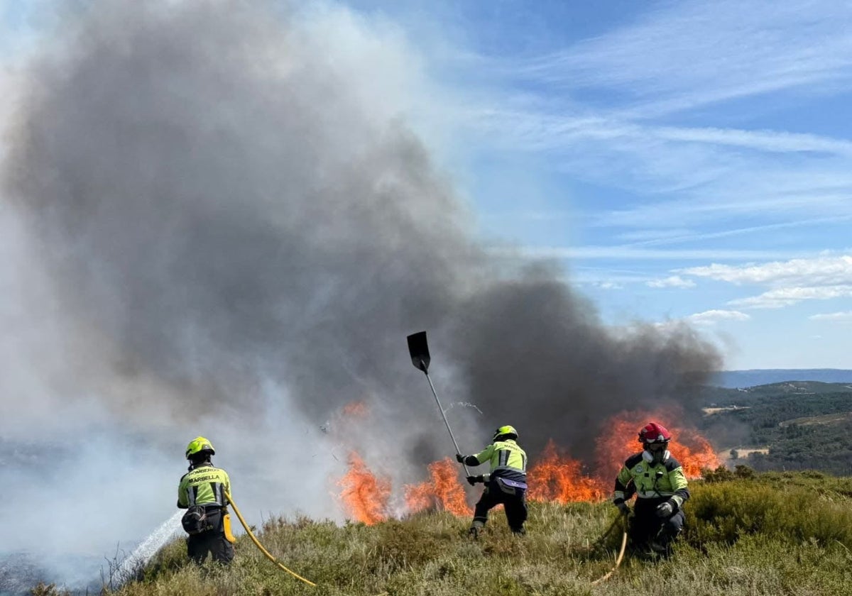 Feuerwehrleute aus Marbella bekämpfen den Brand in Galicien.