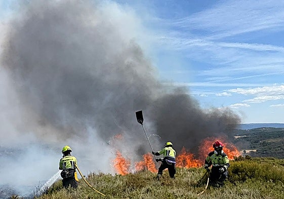 Feuerwehrleute aus Marbella bekämpfen den Brand in Galicien.