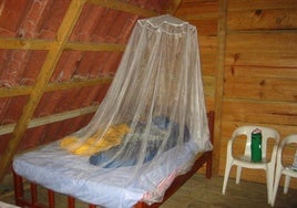 In Regionen mit vielen Mücken ist ein Mosquitonetz nie verkehrt.