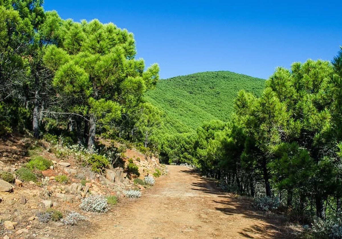 Sierra Bermeja.