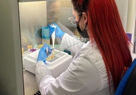 Eine Mitarbeiterin des Gesundheitswesens in der Biobank von Málaga.