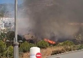 Waldbrand in Benalmádena inzwischen gelöscht