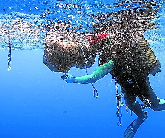 Die Drogenhändler greifen auf erfahrene Taucher zurück, um ihre Operationen durchzuführen.