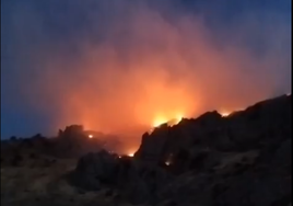 Waldbrände in Alcaucín und Mijas mittlerweile stabilisiert