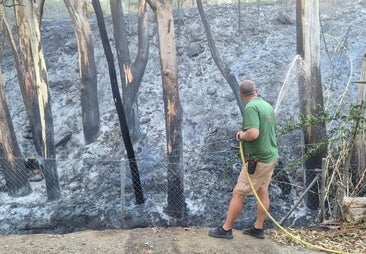 Die Ermittlungen deuten darauf hin, dass der Brand in Benalmádena in einem besetzten Haus entstanden ist