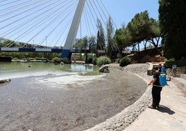 Der Teich im Park La Represa.