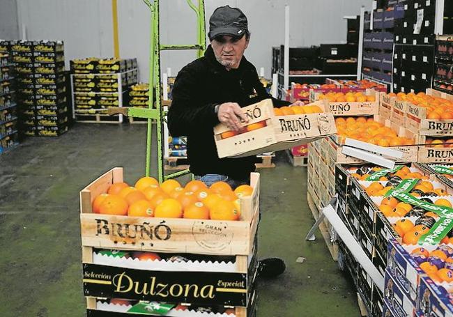 Der Handel mit Zitrusfrüchten aus Málaga ist stark geschrumpft.