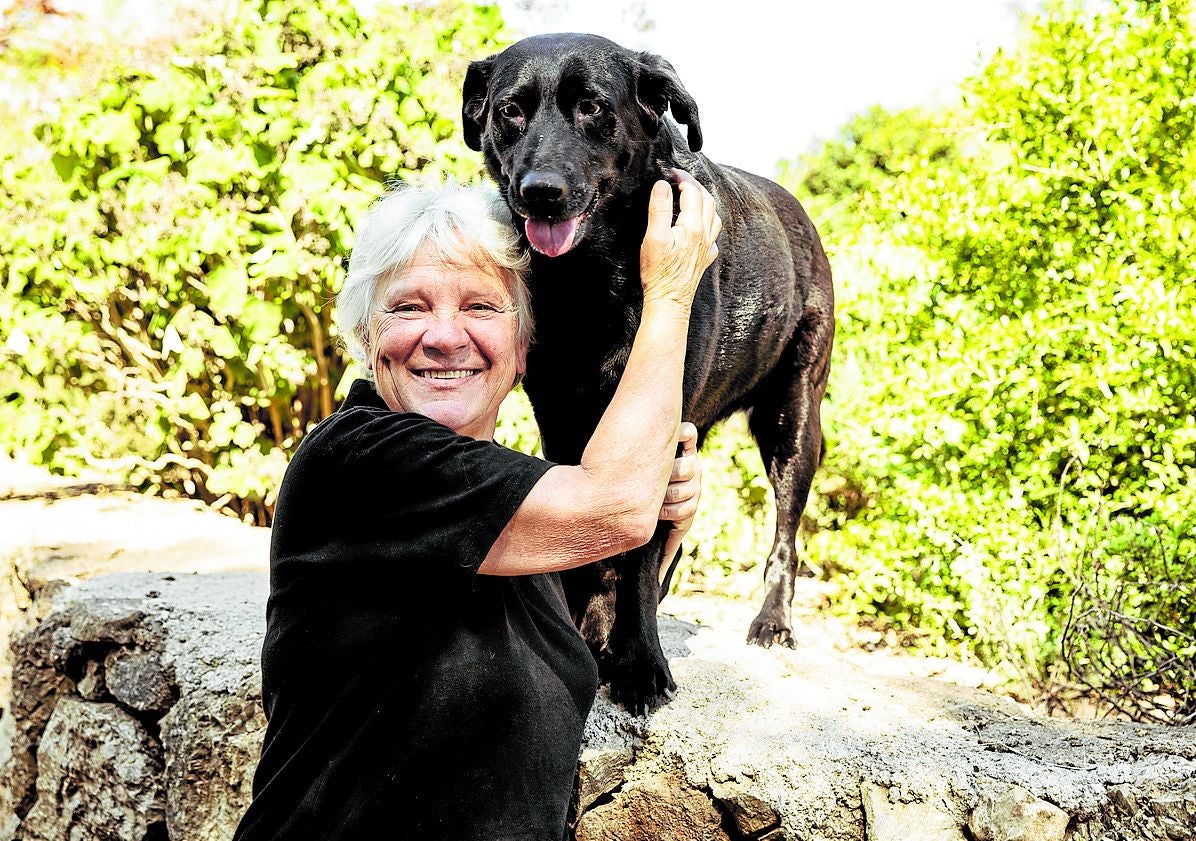 Hunde, Katzen, drei Esel und ein Pferd leben auf Connie Ottos Finca.