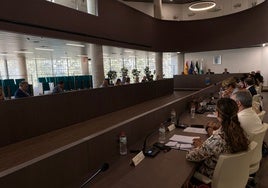 Plenarsitzung des Stadtrats von Estepona.