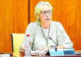 Die andalusische Gesundheitsministerin Rocío Hernández am 1.10.
