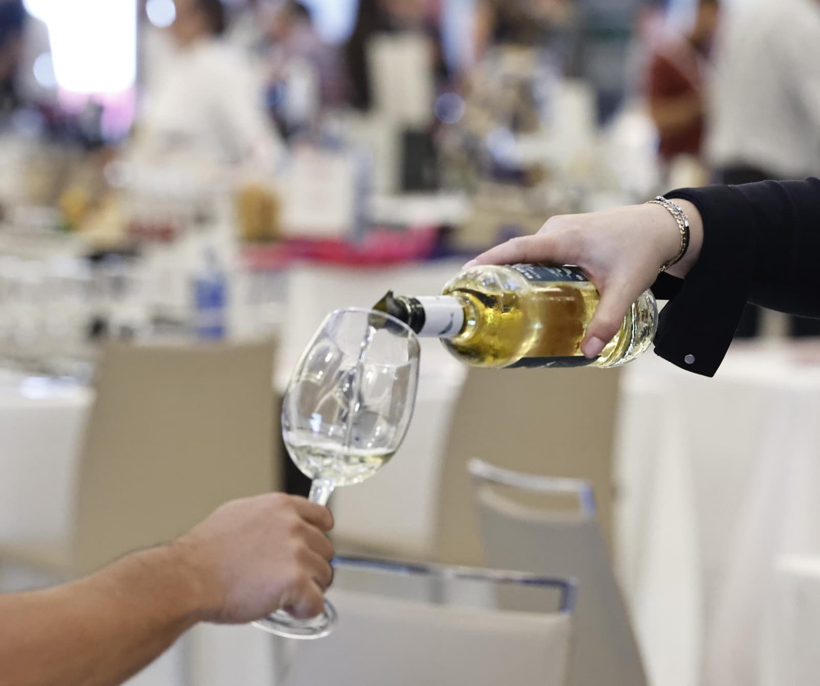 Die besten Fotos von SUR Wines &amp; Gourmet 2025