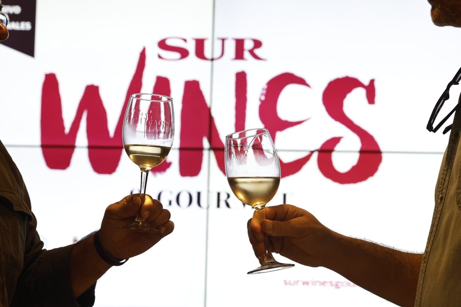 Die besten Fotos von SUR Wines & Gourmet 2025