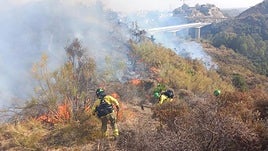 Archivbild einer früheren Brandrodung.
