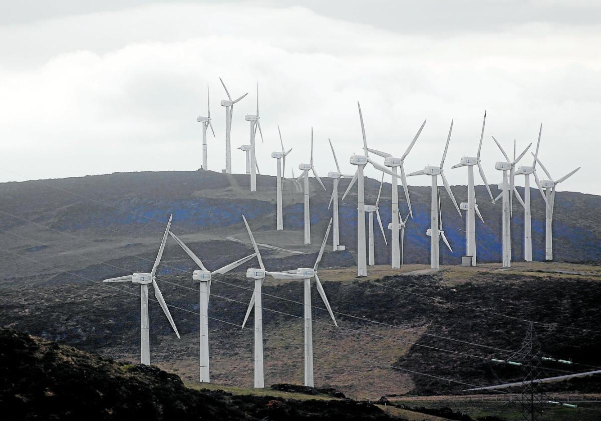 Ein Windpark im galicischen Lugo.