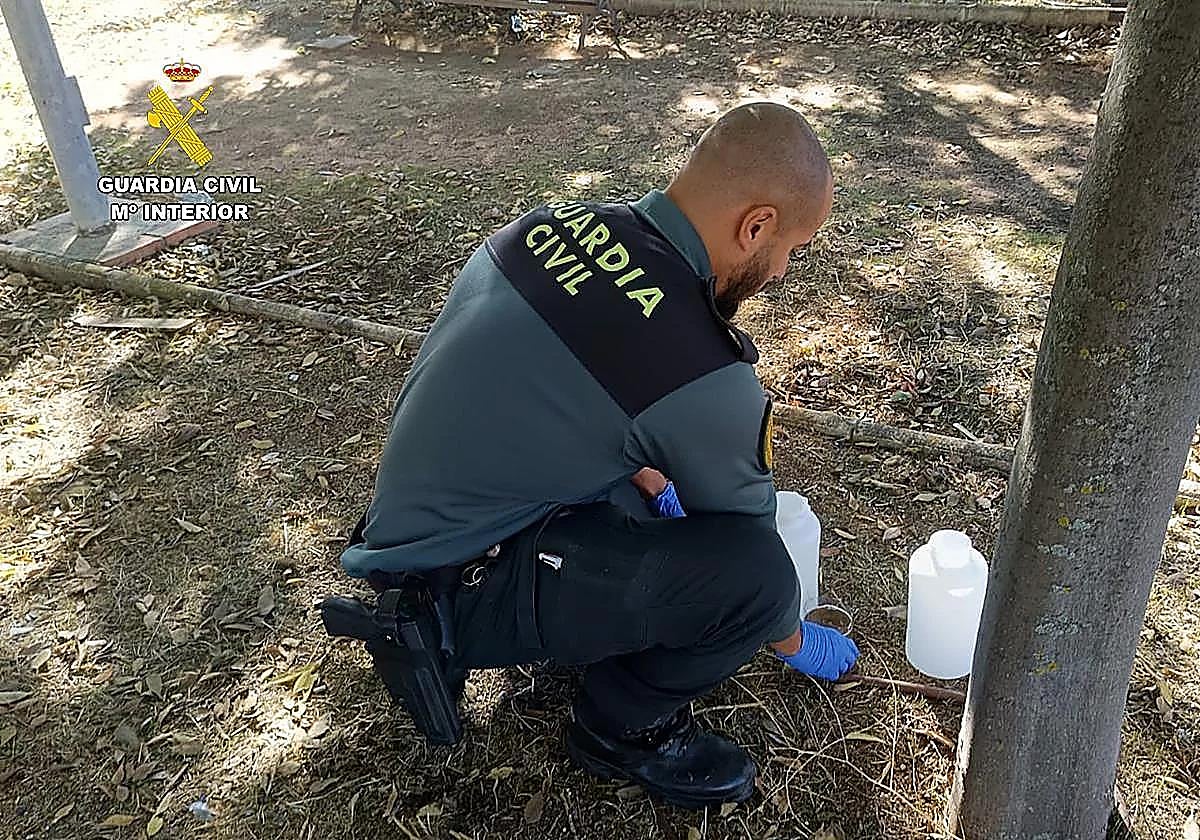 Die Guardia Civil entfernt die Schüsseln mit dem vergifteten Wasser.