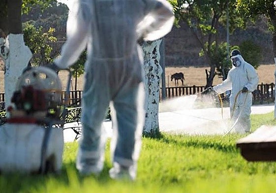 Folgende 11 Gemeinden in Andalusien sind jetzt wegen des West-Nil-Virus in Alarmbereitschaft