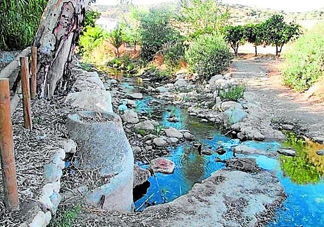 Der Río de la Cueva ist aufgrund seiner Artenvielfalt von besonderem ökologischen Wert.