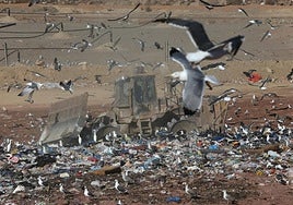 Archivfoto der Mülldeponie von Los Ruices bei Málaga.