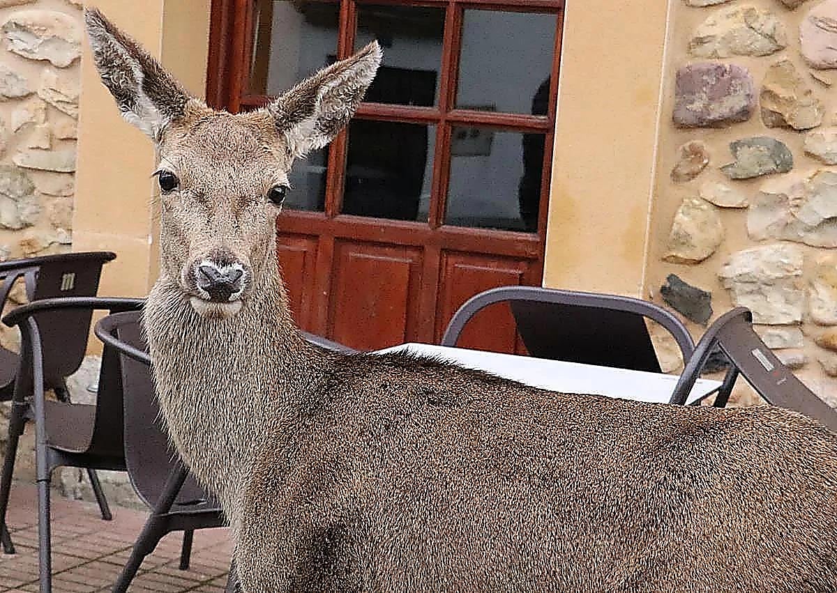 Imagen secundaria 1 - Pepa mit Javier Alonso