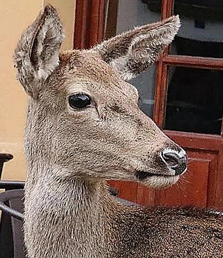 Imagen secundaria 2 - Pepa mit Javier Alonso