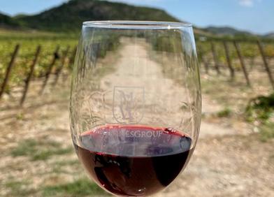 Imagen secundaria 1 - Calaspara rice, Monastrell wine-tasting and Chef Pablo González.