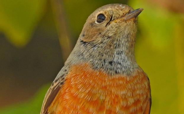 Keeping an eye on migration