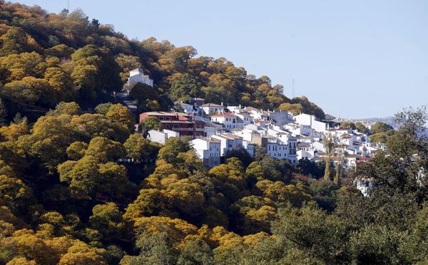The autumn colours in the Genal Valley. 