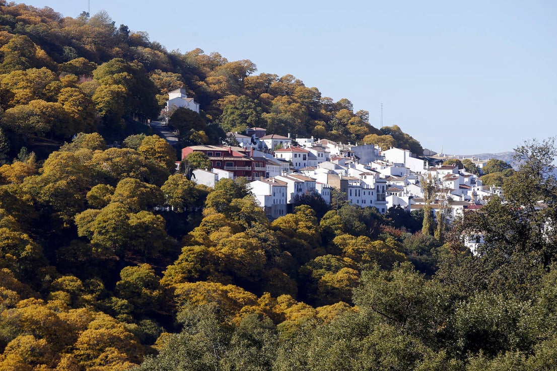 The autumn colours in the Genal Valley. 