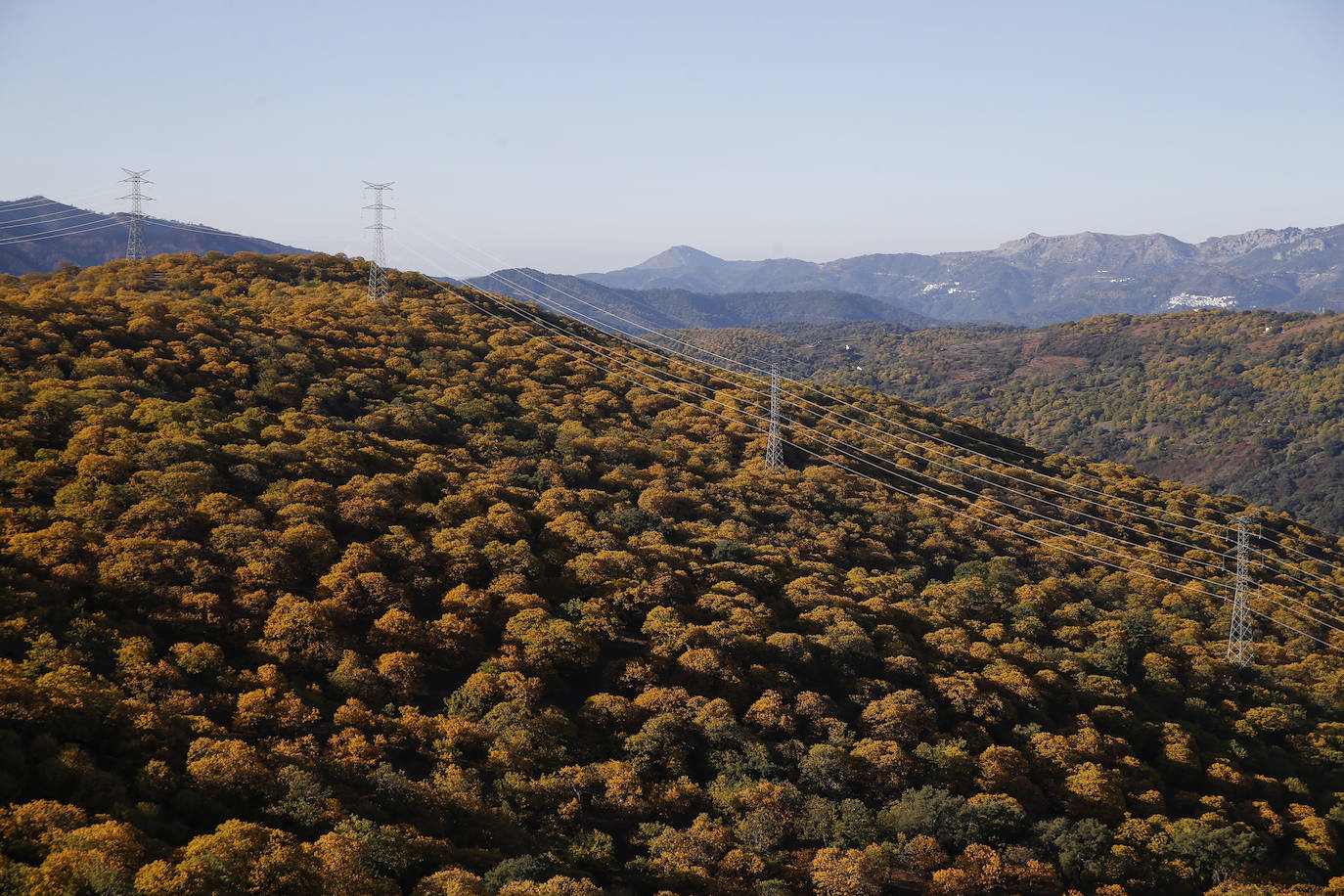 The autumn colours in the Genal Valley. 