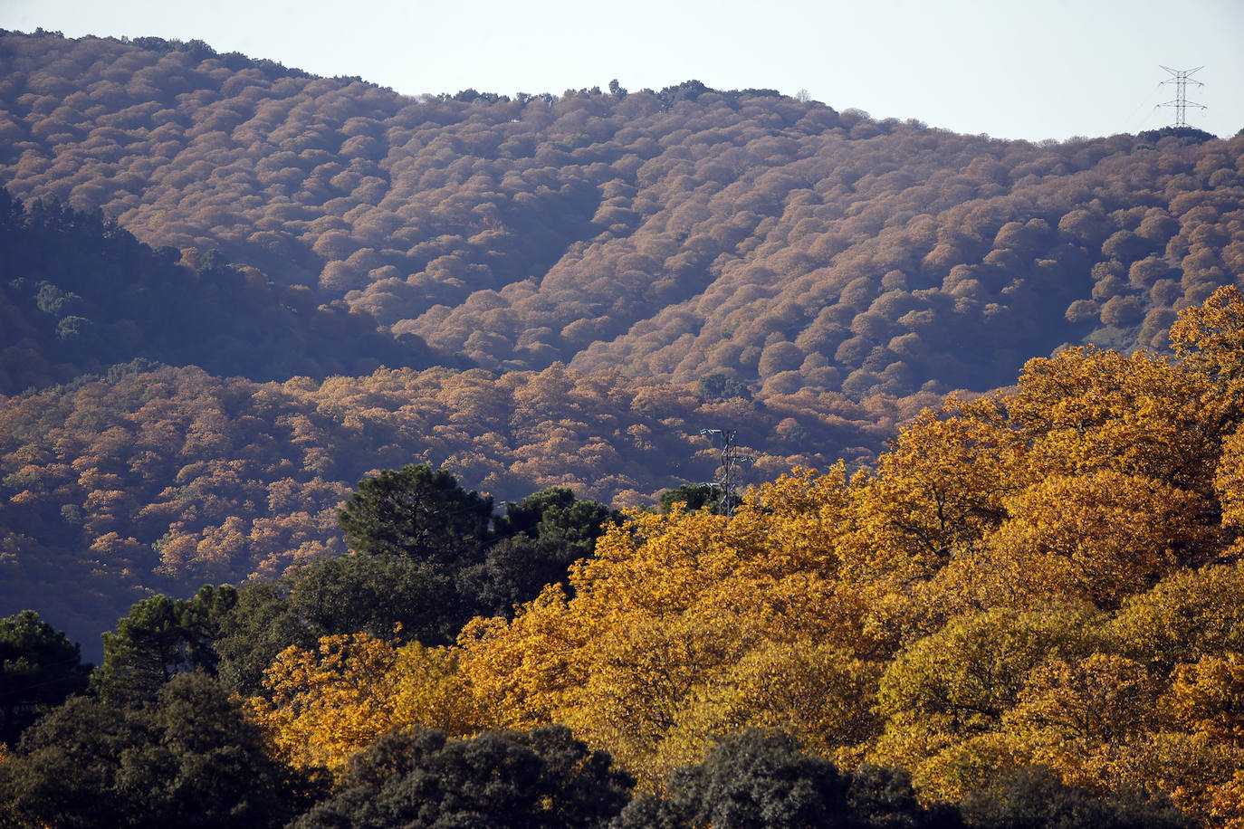 The autumn colours in the Genal Valley. 