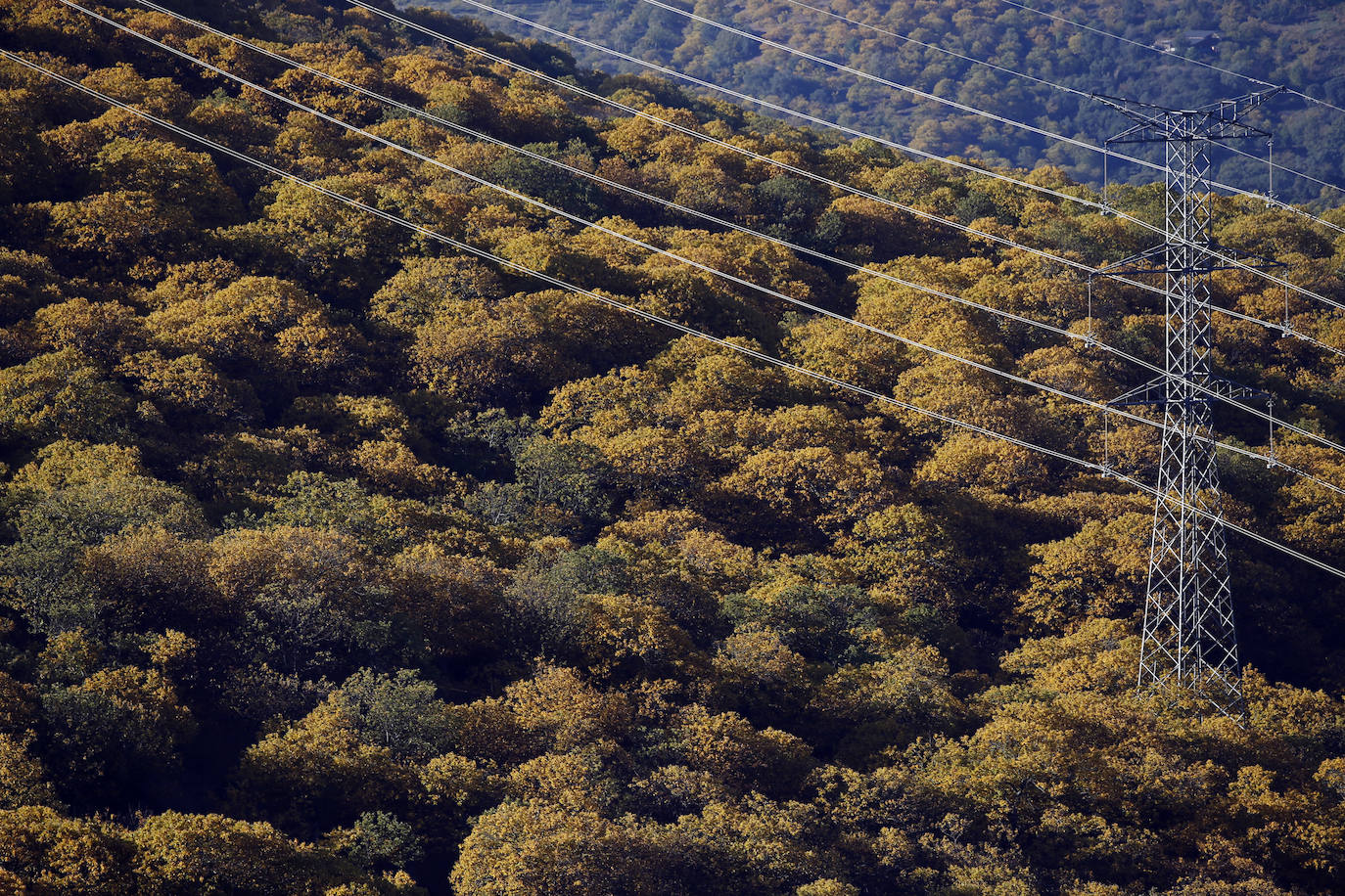The autumn colours in the Genal Valley. 
