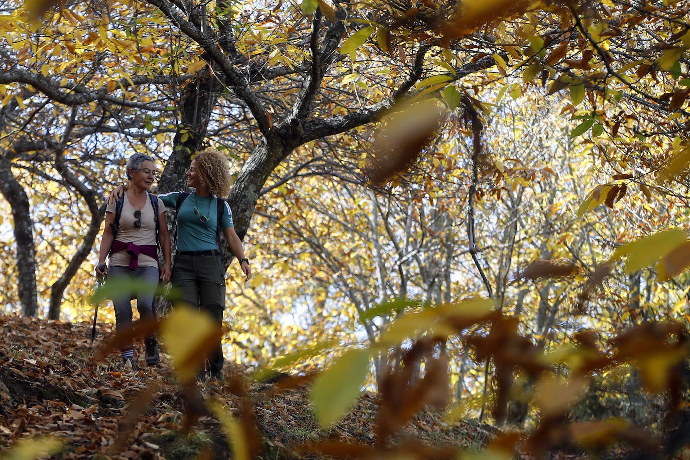 The autumn colours in the Genal Valley. 