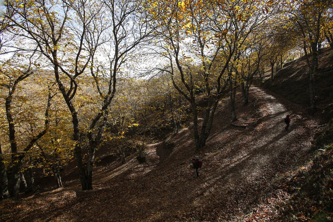 The autumn colours in the Genal Valley. 