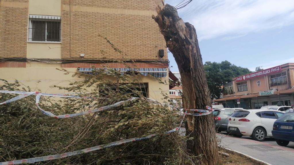 Two people were injured in Malaga province and a beach bar in Fuengirola was flattened. 