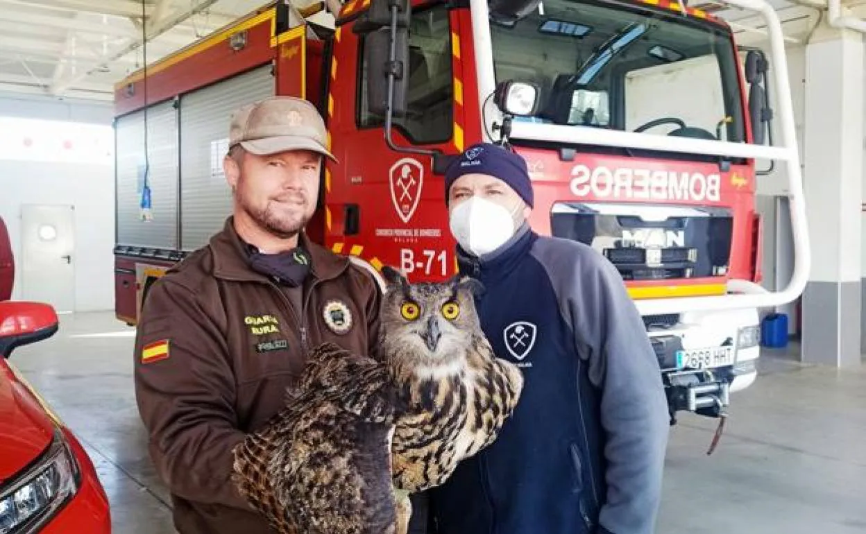 Miguel Palomo, a rural ranger, and the eagle owl at the Colmenar fire station.
