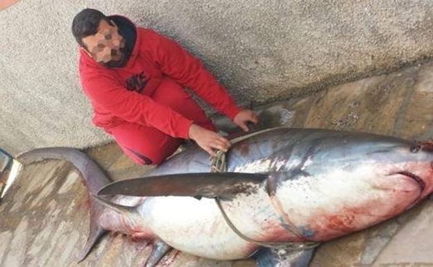 The photo of Francisco's cousin, Antonio, with the shark, which was shared on social media in 2016 