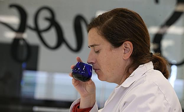  Pilar Palacios, who is responsible for quality control at the Dcoop lab.