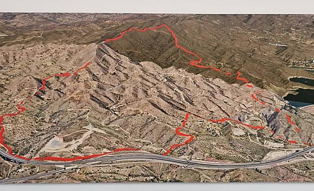 The area marked out for the reforestation project.