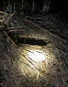 Imagen secundaria 2 - Teenager rescued from well in Estepona after telling searchers “I have water up to my neck and I don't know where I am”