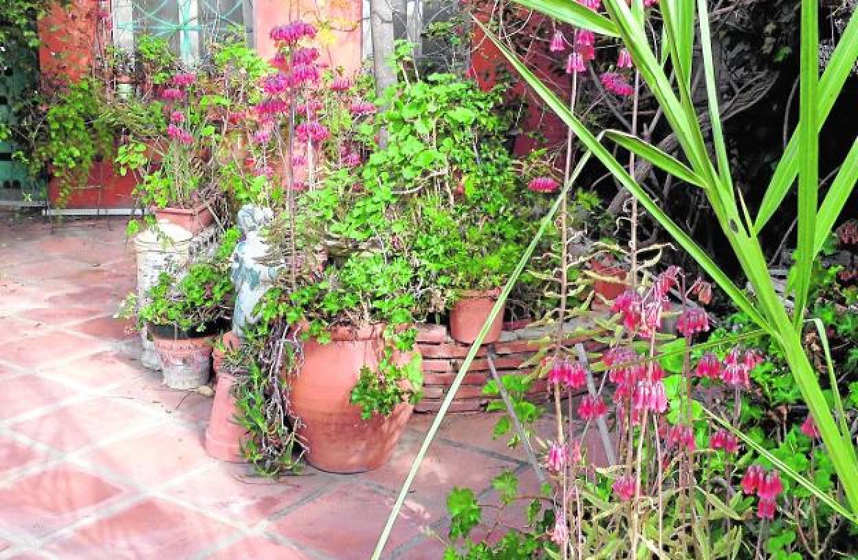 An idyllic patio with raised beds, pots, statuary and lots of greenery. 