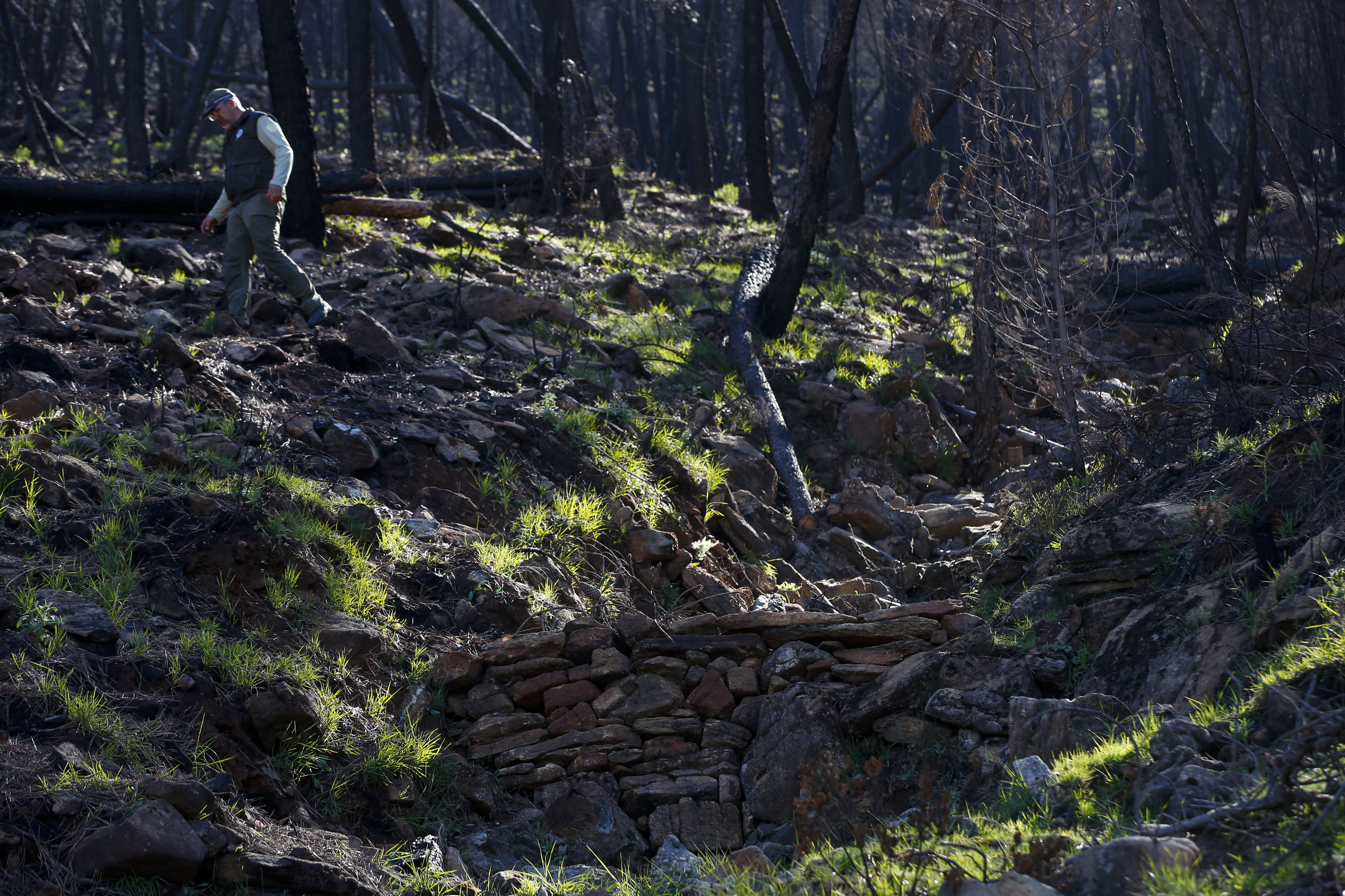 More than 9,000 hectares of woodland were destroyed by last year's fire. A visit to the area, six months later, shows how nature is starting to make a recovery in the Genal Valley