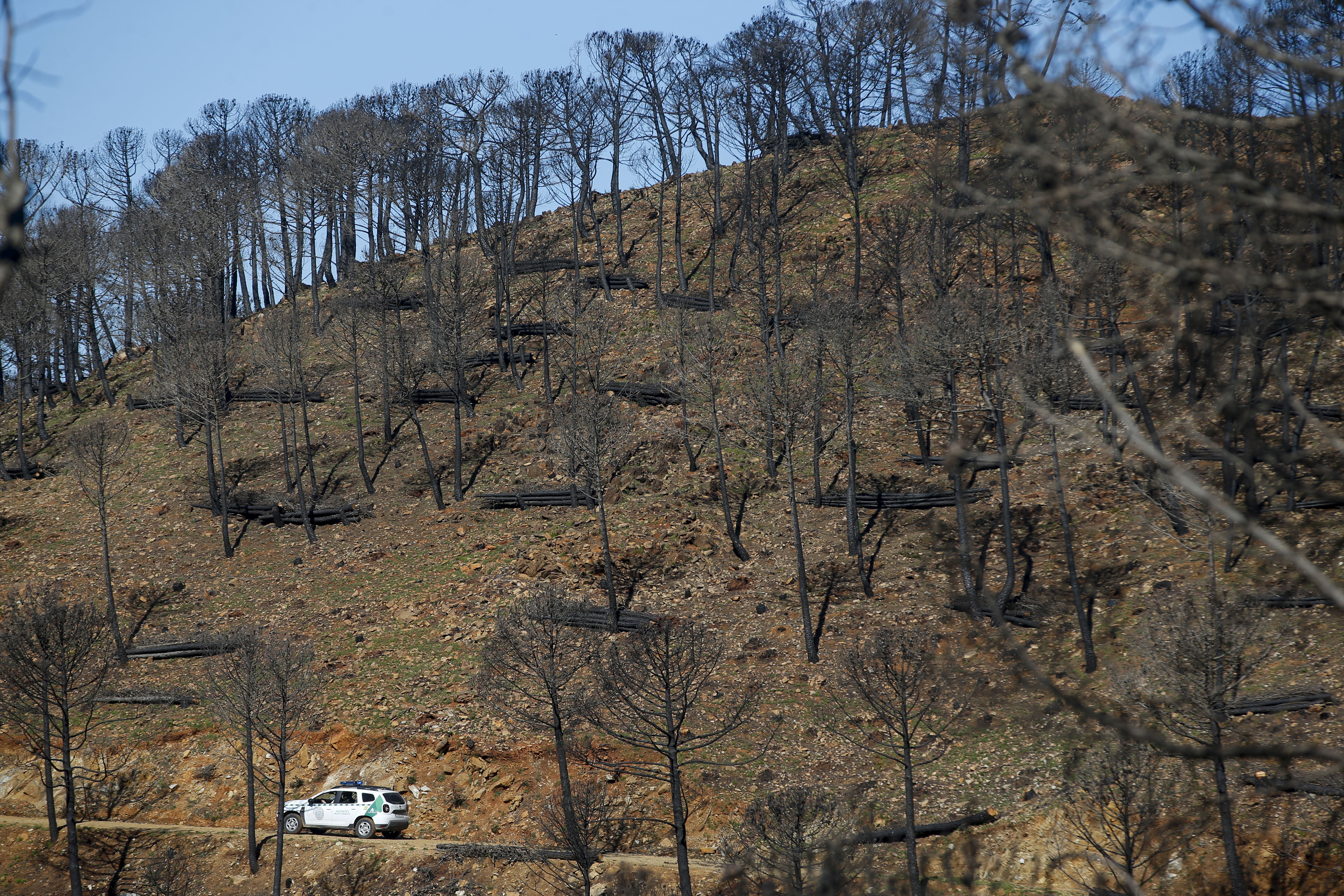 More than 9,000 hectares of woodland were destroyed by last year's fire. A visit to the area, six months later, shows how nature is starting to make a recovery in the Genal Valley