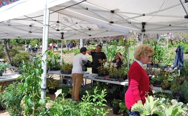 More than 40 local and national horticultural specialists will promote their plants and shrubs at the show. 