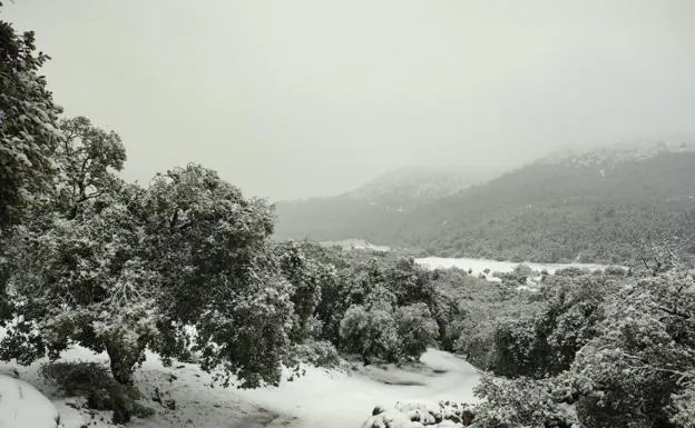 Imagen principal - The scene near Parauta in the Serranía de Ronda. 